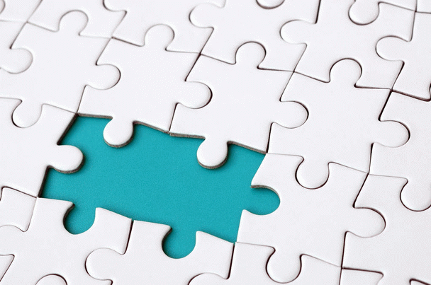 16 نکته در مورد پوزه بند سگ: راهنمای جامع